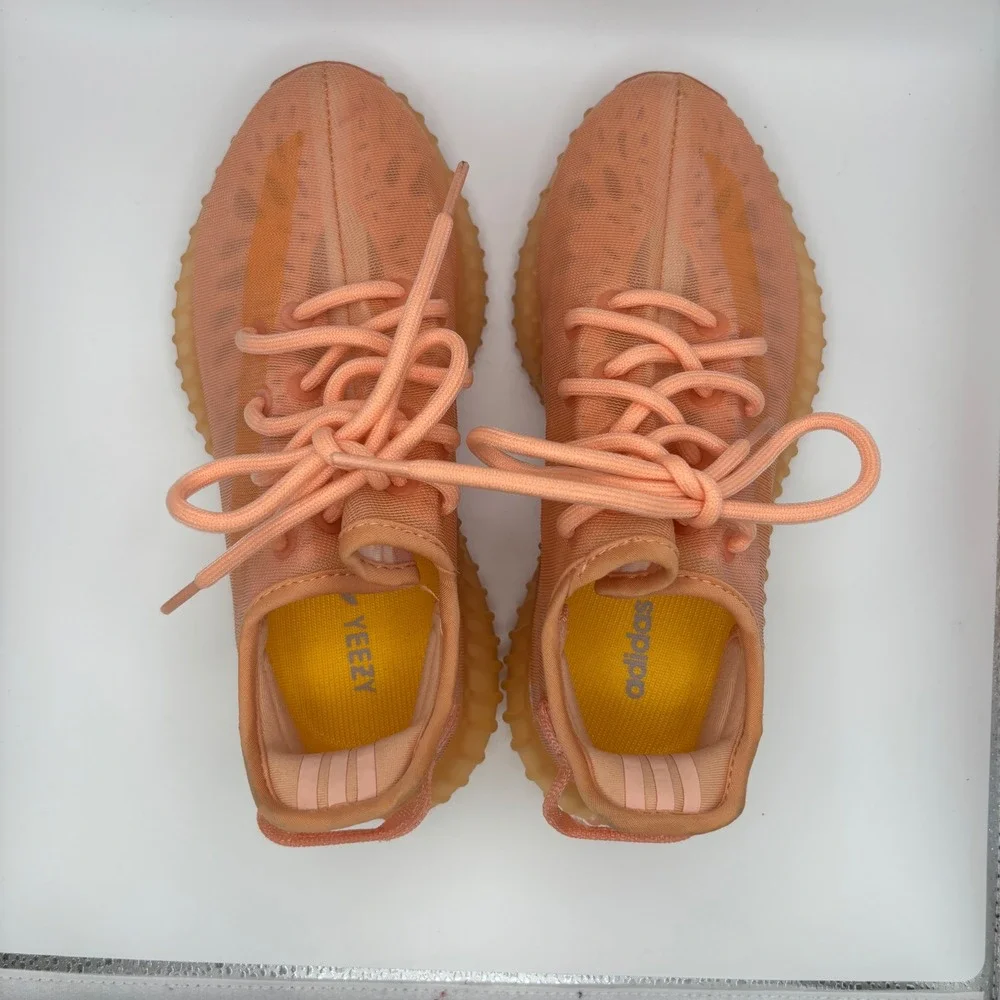 Adidas‎ Yeezy Boost 350v2 Mono Clay Men's Size 5 EUC GW2870